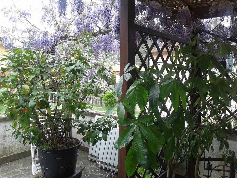 Il Ghiro B&B Riccò del Golfo di Spezia Extérieur photo
