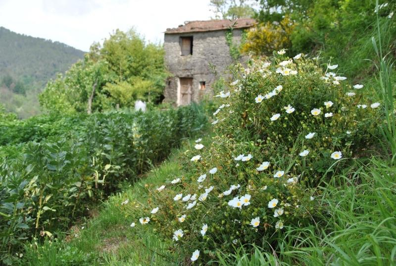 Il Ghiro B&B Riccò del Golfo di Spezia Extérieur photo