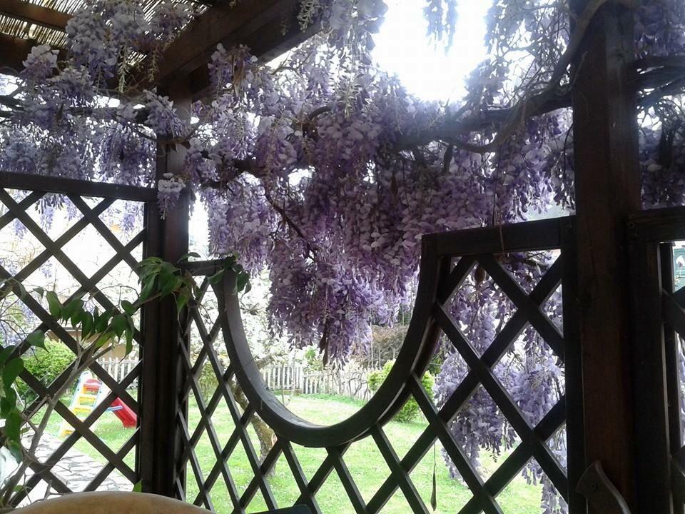 Il Ghiro B&B Riccò del Golfo di Spezia Extérieur photo