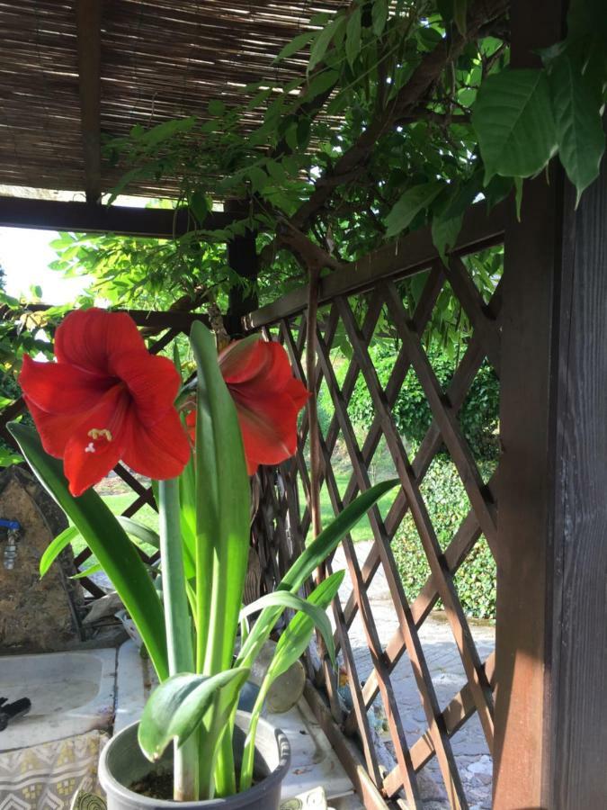 Il Ghiro B&B Riccò del Golfo di Spezia Extérieur photo